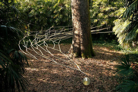 Marie-Helene Richard: "The Water Harvester" | Art Installations, Sculpture, Contemporary Art | Scoop.it