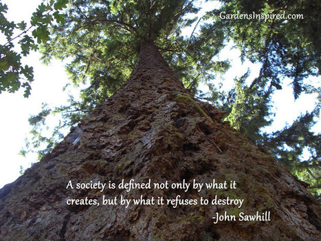 Quote by John Sawhill | The Muse | Scoop.it