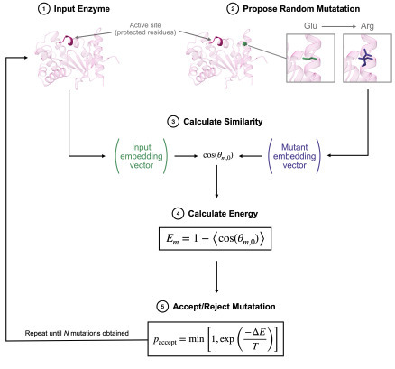 Mind the Gap: An Embedding Guide to Safely Travel in Sequence Space | Brvbi | RMH | Scoop.it