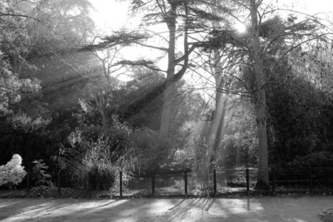 Hiver au Jardin des Plantes | Philippe Gassmann Photos | Scoop.it
