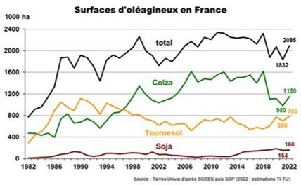 Le soja français, beaucoup de bruit pour peu d’hectares | Lait de Normandie... et d'ailleurs | Scoop.it