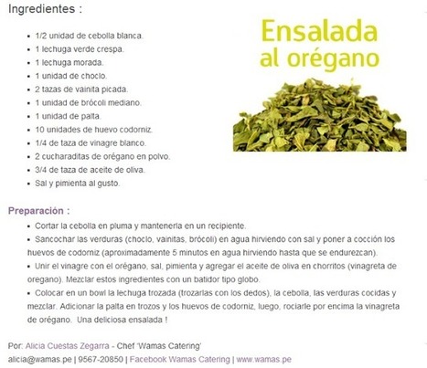Orégano, el antibiótico natural que suprime células cancerosas | PIENSA en VERDE | Scoop.it