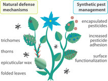 Turning over a new leaf: innovative pest control from a materials science perspective | rsc | RMH | Scoop.it
