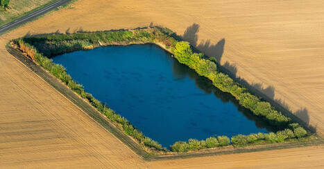 Crise agricole&nbsp;: S&eacute;bastien Lecornu annonce une nouvelle loi d'urgence | Environnement - &Eacute;nergie | Scoop.it