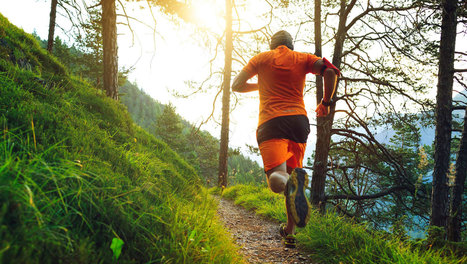 Le nouveau guide de l&rsquo;UICN &eacute;labore une feuille de route en faveur de la biodiversit&eacute; pour la communaut&eacute; sportive | GREENEYES | Scoop.it