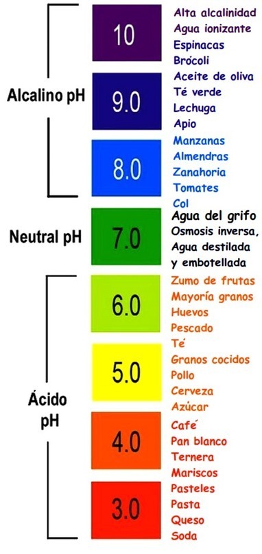 Alimentos y plantas que nos ayudan a desintoxicar y depurar el organismo. | PIENSA en VERDE | Scoop.it