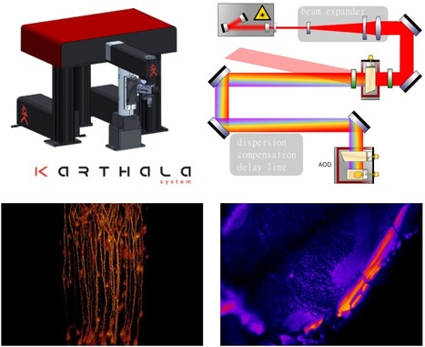 FOCUS PLATEFORME : AAP SESAME 2021 : Un nouveau microscope biphotonique sur Paris-Saclay ou quand NeuroPSI se propose de coupler l’observation de l’activité neurale et études comportementales ! | Life Sciences Université Paris-Saclay | Scoop.it