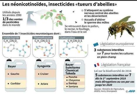 Les néonicotinoïdes interdits en France à partir du 1er septembre | Biodiversité | Scoop.it
