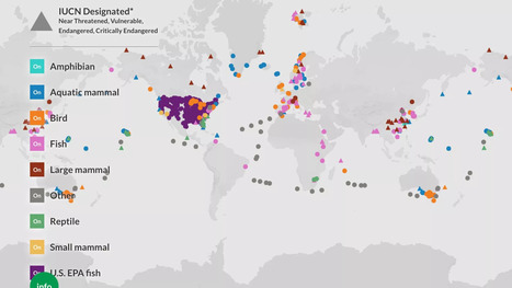 Cette carte montre que 300 espèces sont menacées par les « polluants éternels » | Biodiversité | Scoop.it