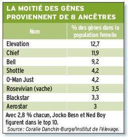 La variabilité génétique sur une mauvaise pente en Holstein | SCIENCES DE L' ANIMAL | Scoop.it