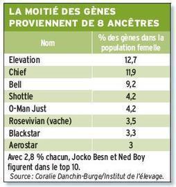 La variabilité génétique sur une mauvaise pente en Holstein | Actualités de l'élevage | Scoop.it