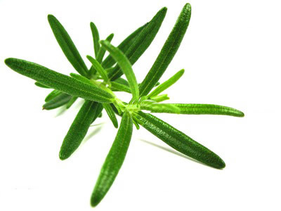 Hydrolats bio et artisanaux sur Elixirs-bio | Aromathologie | Scoop.it