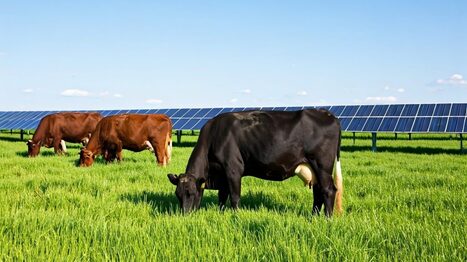 Agrivolta&iuml;sme - Le projet d'autoconsommation collective de Reden suspendu en Haute Lande | Landes - Conseils municipaux & communautaires | Scoop.it