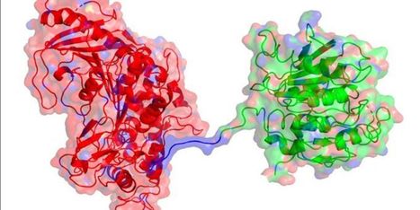 New enzyme &lsquo;cocktail&rsquo; digests plastic waste six times faster | Amazing Science | Scoop.it