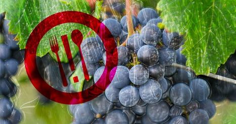 Pour changer l'agriculture, il faut changer notre alimentation | ALIMENTATIONS | Scoop.it