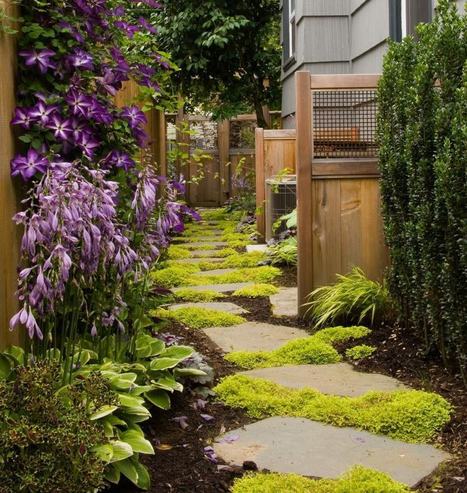 Plant and stone pathway | Gardening Life | Scoop.it