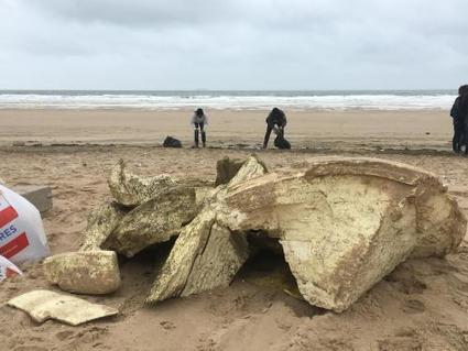 SANGATTE - Le maire ne portera pas plainte après la pollution sur la plage / le 13.05.2017 | Pollution accidentelle des eaux (+ déchets plastiques) | Scoop.it