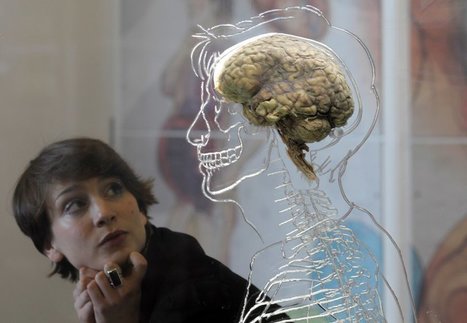 Scientists Are Attempting to Unlock the Secret Potential of the Human Brain | IELTS, ESP, EAP and CALL | Scoop.it