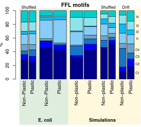 La plasticit&eacute; de l'expression des g&egrave;nes ne d&eacute;pend pas de la structure des r&eacute;seaux de r&eacute;gulation | Life Sciences Universit&eacute; Paris-Saclay | Scoop.it