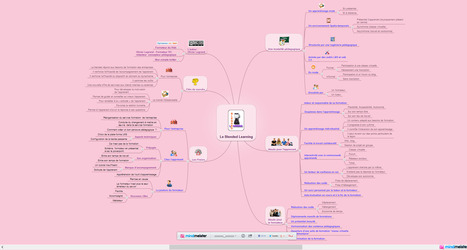 Le Blended Learning [MindMapping] | Time to Learn | Scoop.it