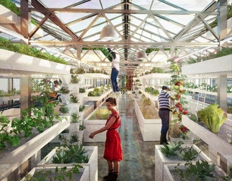 The Urban Farming Technique That Will Revolutionize the Way We Eat | Stage 5  Changing Places | Scoop.it