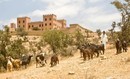Le Maroc dispose d'écosystèmes riches et variés nécessitant une gestion durable - Aufait Maroc | Gestion Durable des Ressources | Scoop.it