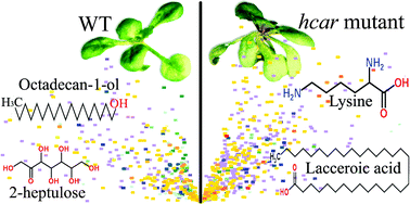 A global approach to analysis and interpretation of metabolic data for plant natural product discovery | Natural Products Chemistry Breaking News | Scoop.it