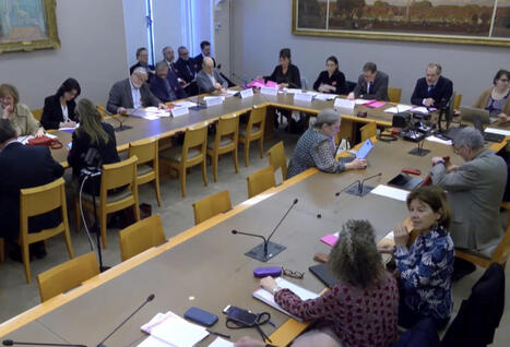 Au S&eacute;nat, l'&eacute;cosyst&egrave;me du livre d&eacute;roule ses angoisses et ses contrari&eacute;t&eacute;s | La Biblioth&egrave;que de l'&Eacute;cole nationale des chartes-PSL vous accompagne dans la pr&eacute;paration aux concours | Scoop.it