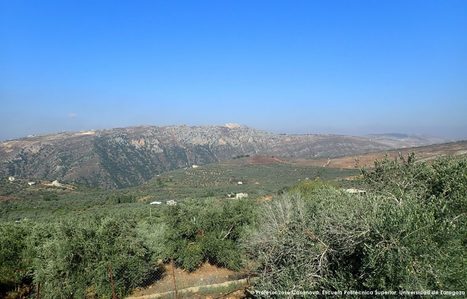 CIHEAM ZARAGOZA launches a cooperation project in the LEBANON to improve olive yields and enhance sustainability | CIHEAM Press Review | Scoop.it