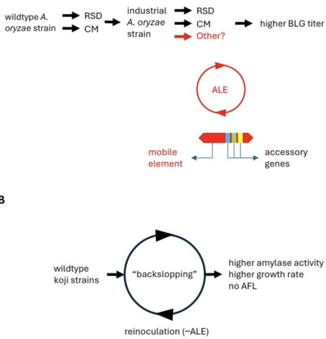 Evolution at the speed of fermentation | Cin | RMH | Scoop.it