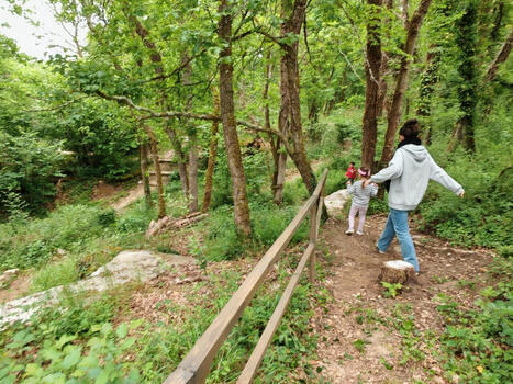 Seine-et-Marne. Ce "petit bois pédagogique" va devenir une salle de classe | Environnement - Énergie | Scoop.it