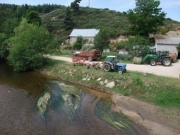 Un peu moins de pesticides dans les cours d'eau – Environnement-magazine.fr | GREENEYES | Scoop.it