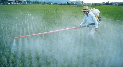 Le Roundup de Monsanto est désormais interdit au Salvador | Questions de développement ... | Scoop.it