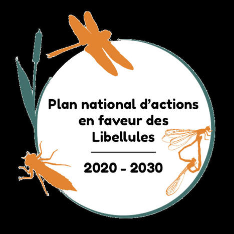 Plan national d’actions en faveur des libellules | Biodiversité | Scoop.it