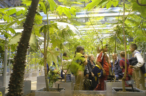 Appel &agrave; participation : Concours scientifique "Les Urbiculteurs" | Paysage - Agriculture | Scoop.it