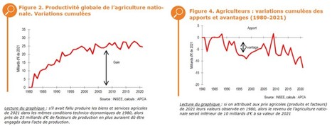 Productivité de l'agriculture française en panne : quels impacts dans la filière agroalimentaire ? | Lait de Normandie... et d'ailleurs | Scoop.it