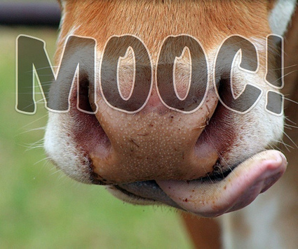 The corridor of uncertainty: It's raining MOOCs | Teaching and Learning in HE | Scoop.it