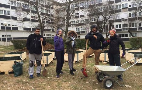 Sarcelles : venez jardiner entre deux barres d’immeubles | Paris durable | Scoop.it