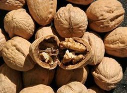 Walnuts May Boost Semen Quality | REAL World Wellness | Scoop.it