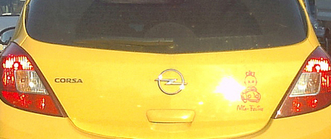 Mia-Feline | Name News | Scoop.it