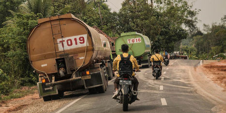 Agrocarburants : « Une industrie polluante et non rentable ! » | ITERG Environnement et Eco-industries | Scoop.it