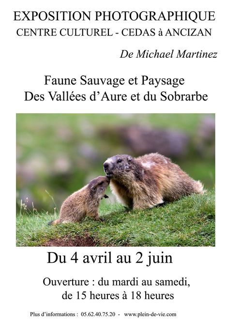 D’Aure en Sobrarbe : Faune Sauvage et Paysages  | Vallées d'Aure & Louron - Pyrénées | Scoop.it