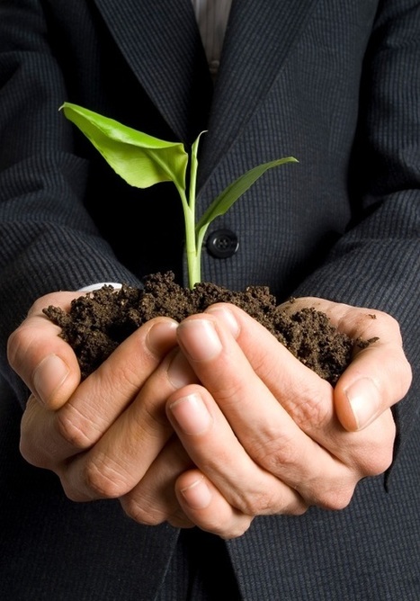5 Ways Trade Shows Help Small Businesses Grow | B2B OP TBS | Scoop.it