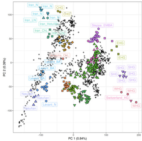 tidypopgen: Tidy population genetics in R | RMH | Scoop.it
