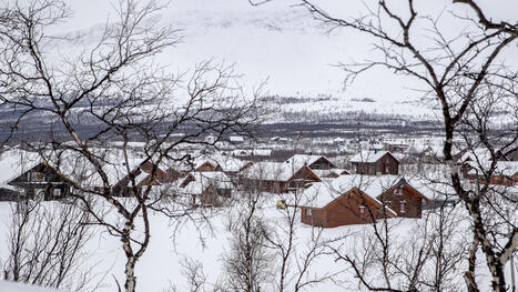 Selvitys: Käsivarren kelkkasafareista kiusaa poronhoidolle ja luontoelämyksille – yllättävää hyötyäkin - Metsä | 1Uutiset - Lukemisen tähden | Scoop.it