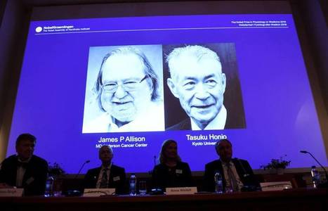 Les pères des nouvelles immunothérapies anti-cancer récompensés par le Prix Nobel | Santé, médecine, sexualité et culture générale | Scoop.it