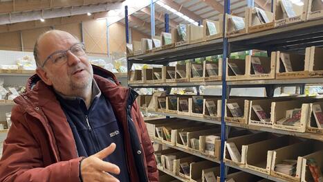 Avec ses commandes group&eacute;es, la marque Graines Elem, install&eacute;e &agrave; Pr&eacute;mesques, pousse tr&egrave;s bien | revue de presse | Scoop.it