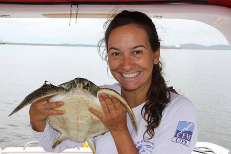 Brasileira &eacute; finalista de maior pr&ecirc;mio de conserva&ccedil;&atilde;o&nbsp; | Inova&ccedil;&atilde;o Educacional | Scoop.it