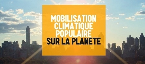 Il faut en finir avec le crime climatique. Laissons les fossiles dans le sol | Variétés entomologiques | Scoop.it
