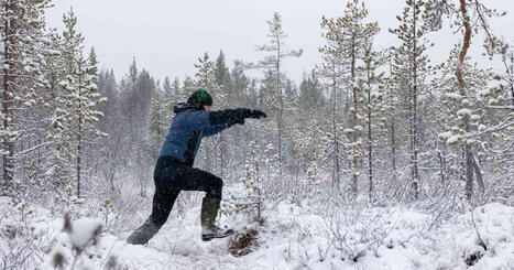 Hyllyvist&auml; soista visioidaan it&auml;rajan panssariestett&auml; &ndash; Sallassa ep&auml;ill&auml;&auml;n idean j&auml;rkevyytt&auml; | Kotimaa | Yle | 1Uutiset - Lukemisen t&auml;hden | Scoop.it